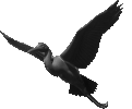 weathervane bird